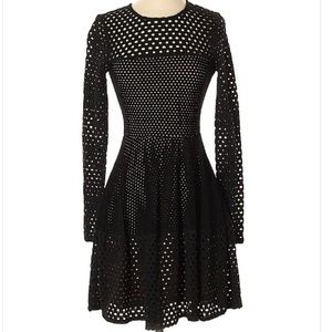 👑👑BCBG Black Mesh Long Sleeve Skater Dress